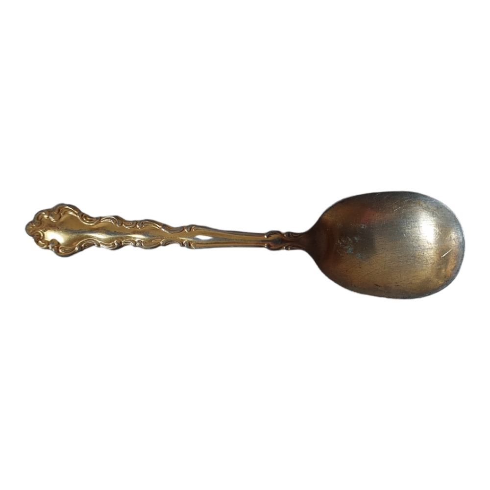 Antique Community Spoon